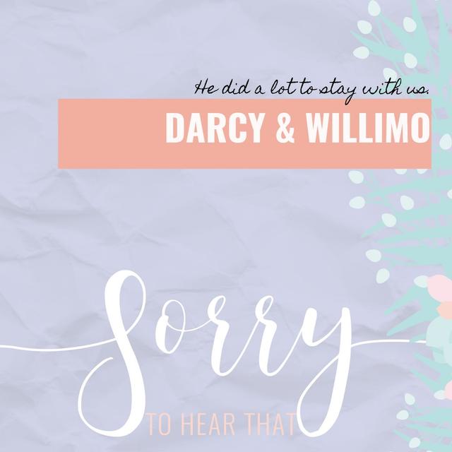 Darcy & WilliMo - He did a lot to stay with us. - podcast episode cover