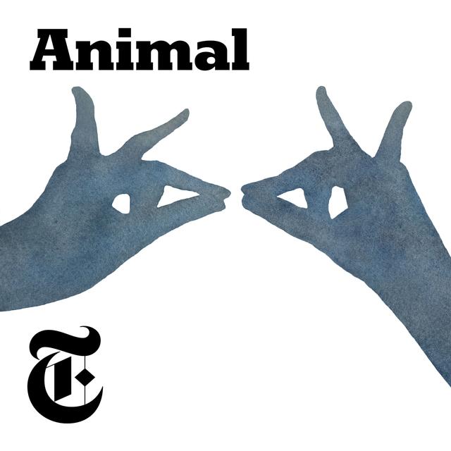 'Animal,' Episode 3: Manatees - podcast episode cover