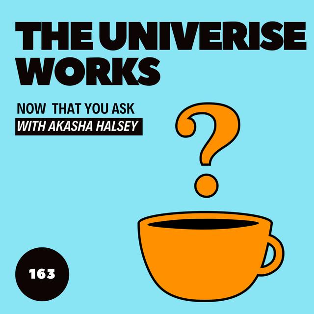 163. The Universe Works - podcast episode cover