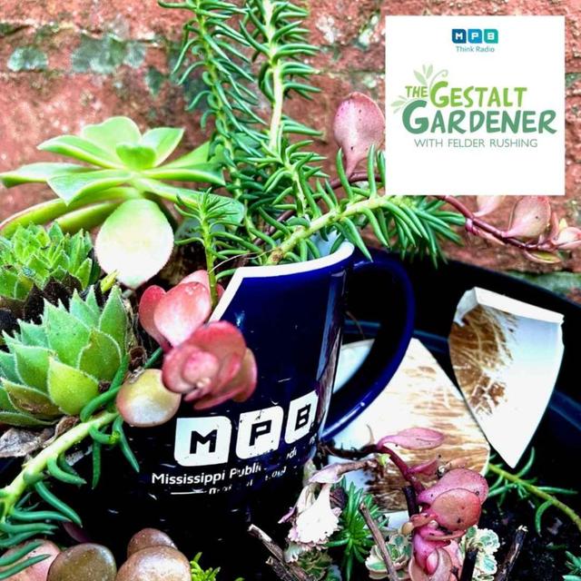 The Gestalt Gardener | Broken Pieces - podcast episode cover