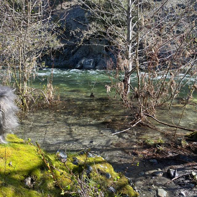 171: Spring Day Beside the North Fork of the Salmon River - podcast episode cover