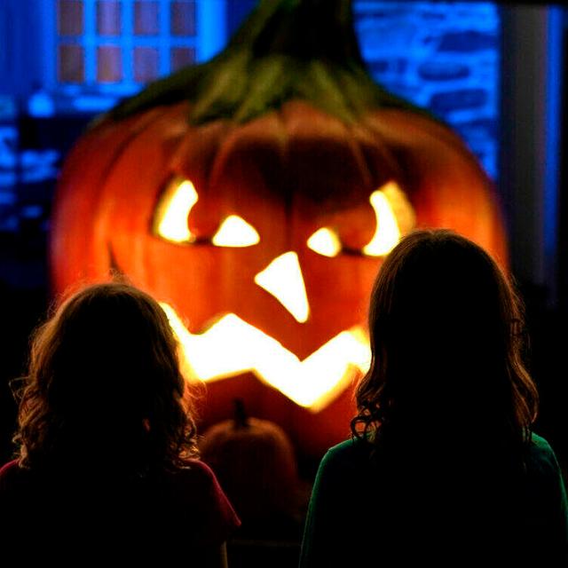 The 2024 Spooky Roundup - podcast episode cover