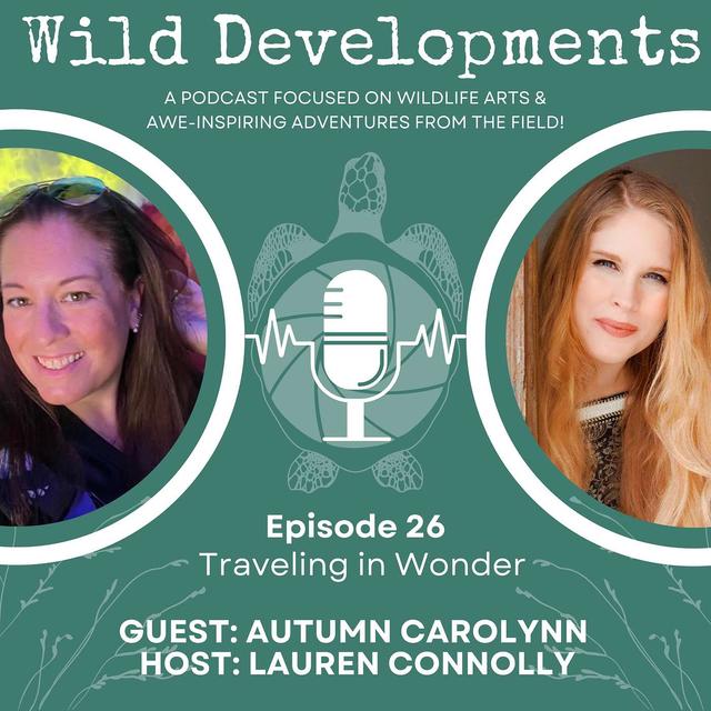 Traveling in Wonder - podcast episode cover