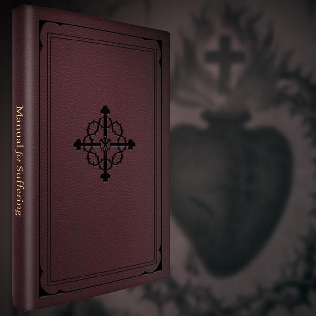 Manual for Suffering - Fr. Jeffrey - podcast episode cover