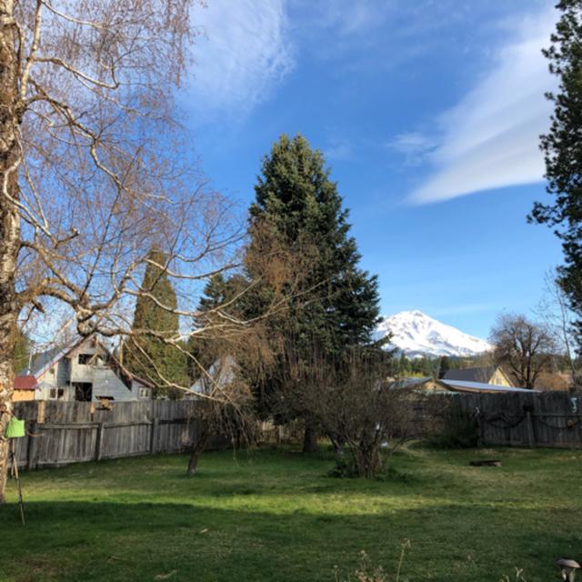Episode 36: Spring Morning in the Backyard - podcast episode cover