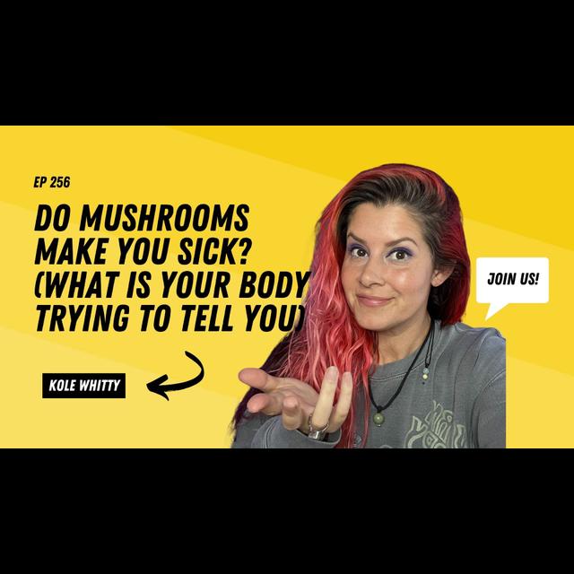 EP256 What Is Your Body Trying To Tell You When Mushrooms Make You Sick?  (And Other Body Cues) - podcast episode cover