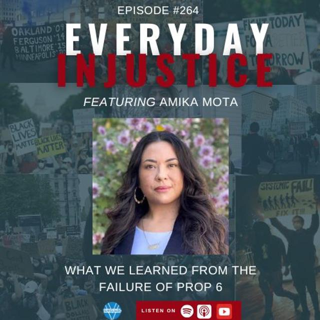 Everyday Injustice Podcast Episode 264: A Sister Warrior Talks About What Next For CJR - podcast episode cover