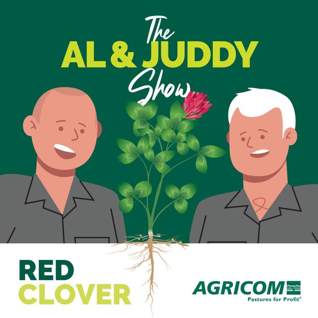 Relish the rewards of red clover - podcast episode cover