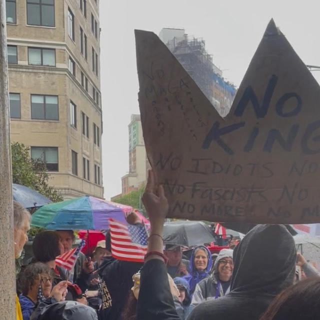 No Kings Protest, Prospect Park, Brooklyn, NY, USA on Saturday 14th June – by Lauren Sharpe - podcast episode cover
