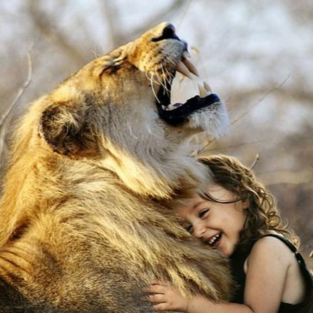 Israel is a Lion, Not a Mouse. Here's Why! - The Tamar Yonah Show - podcast episode cover