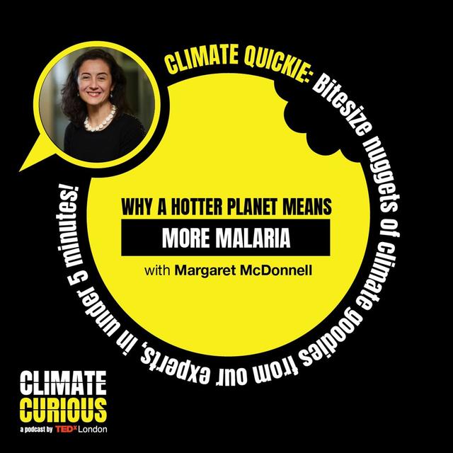 Climate Quickie: Why a hotter planet means more malaria. Here’s the solution. - podcast episode cover