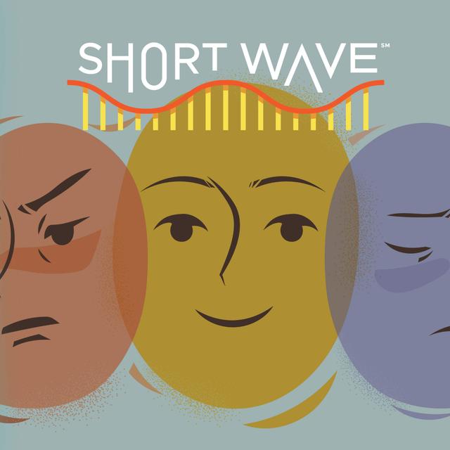 Unpacking Bipolar Disorder - podcast episode cover