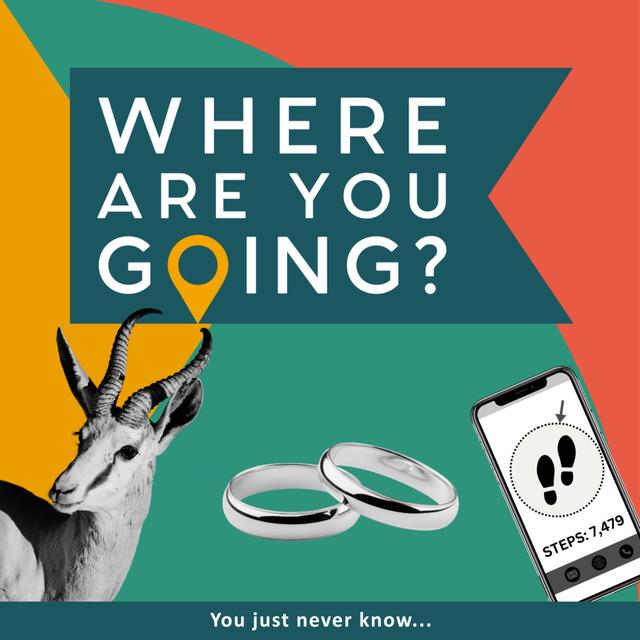 A Wedding, South Africa and a Step Count - podcast episode cover