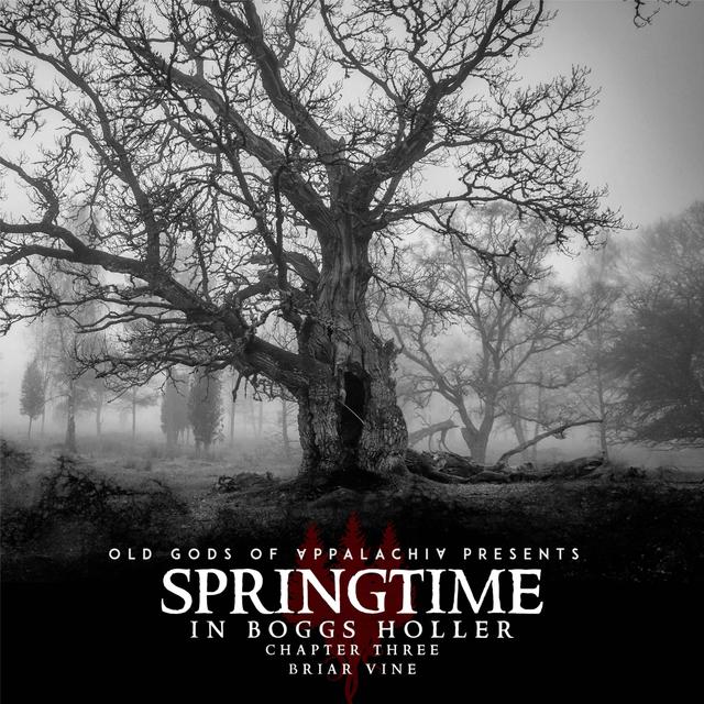 Springtime in Boggs Holler – Chapter Three: Briar Vine - podcast episode cover