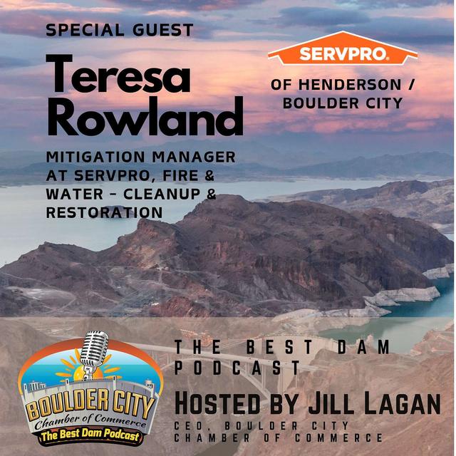 Meet SERVPRO - Residential and Commercial Restoration and Cleaning Services - podcast episode cover