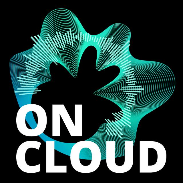 Himanshu Varshney on how to build an excellent software engineering culture - podcast episode cover