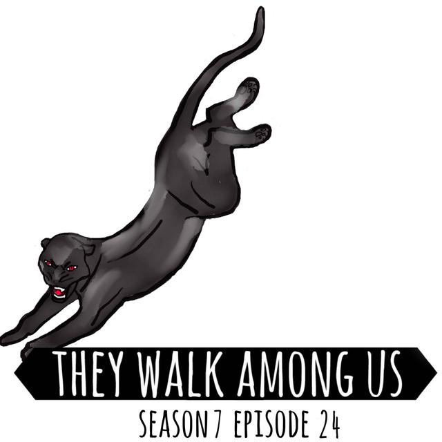 The Black Panther / Donald Neilson - Part 2 - podcast episode cover