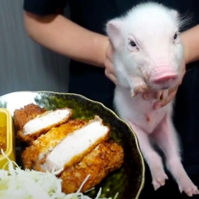 重磅廣播 – 225．食糧教育？殺生直播？日本與「100天後會被吃掉的豬」 - podcast episode cover
