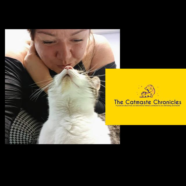 Rose Stanton 'Vet Staff, Cat Advice during a pandemic and Greek Island Cats' - podcast episode cover
