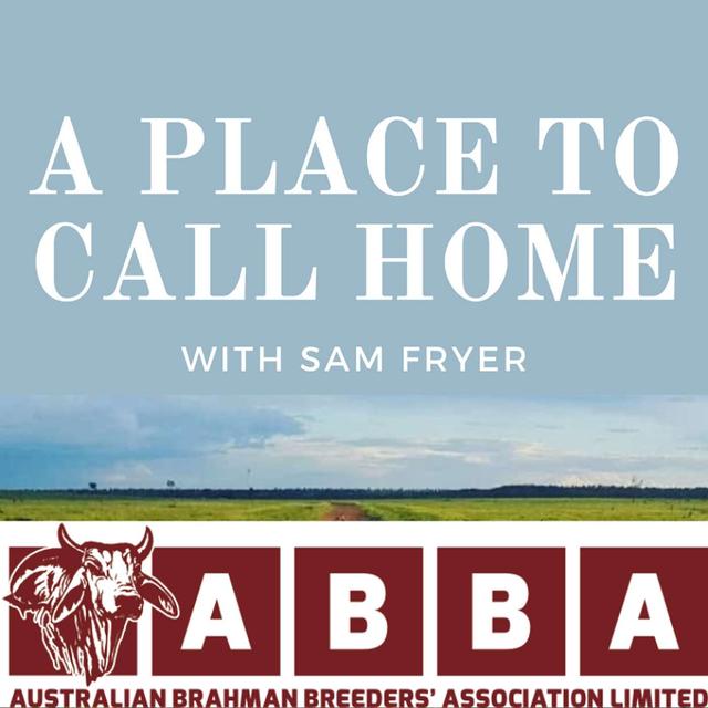 #34: Creating your own slice of paradise with Brad Inglis from Sturt Plains Brahmans - podcast episode cover