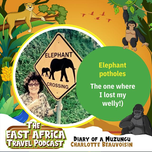 Ep. 17 Elephant potholes (the one where I lost my welly!) - podcast episode cover