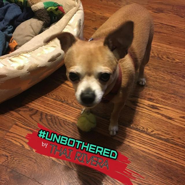 Unbothered by Thai Rivera Presents Exhausted and Overexposed - podcast episode cover