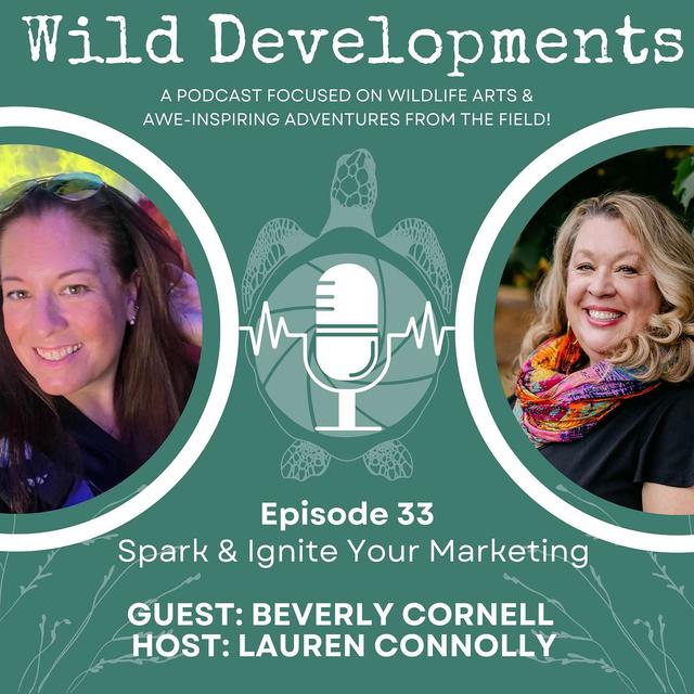 Spark and Ignite Your Marketing - podcast episode cover