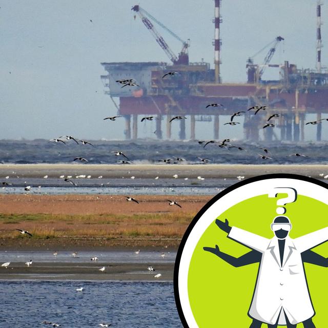What will happen to petrol when we all drive electric cars? - podcast episode cover