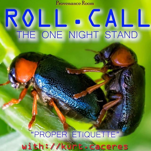 THE ONE NIGHT STAND - Proper Etiquette - podcast episode cover