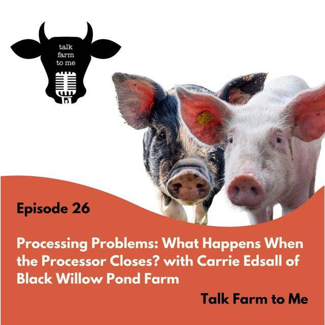Processing Problems: What Happens When the Processor Closes? -- with Carrie Edsall of Black Willow Pond Farm - podcast episode cover
