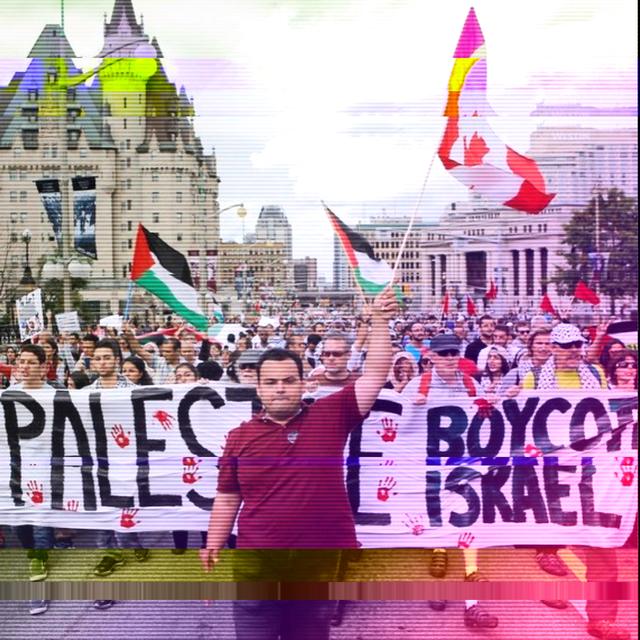 97: Radio Free Palestine (with Amy Kishek and Omar Burgan) - podcast episode cover