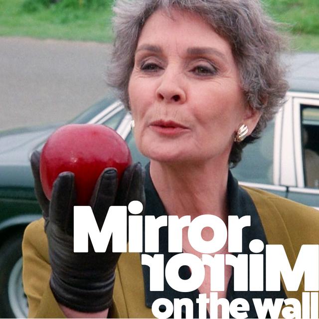 S05E21+22 - Mirror Mirror On The Wall - podcast episode cover