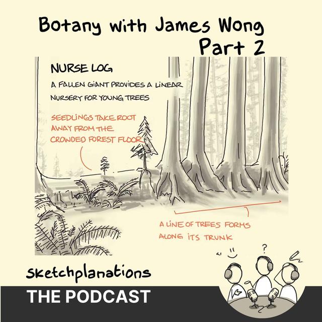 Botany (with James Wong) - Part 2 - podcast episode cover