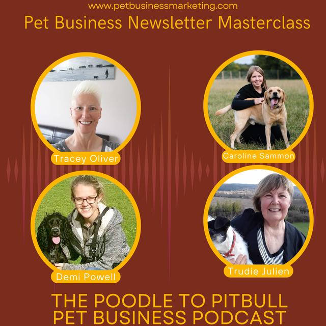 Episode 339 - A Pet Business Newsletter Masterclass - podcast episode cover