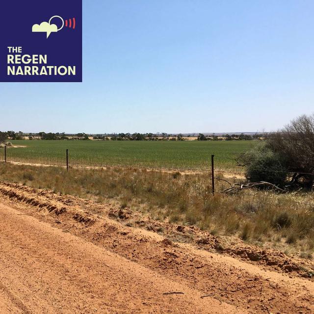 191. Huge Opportunity: Original Haggerty farm for sale - podcast episode cover