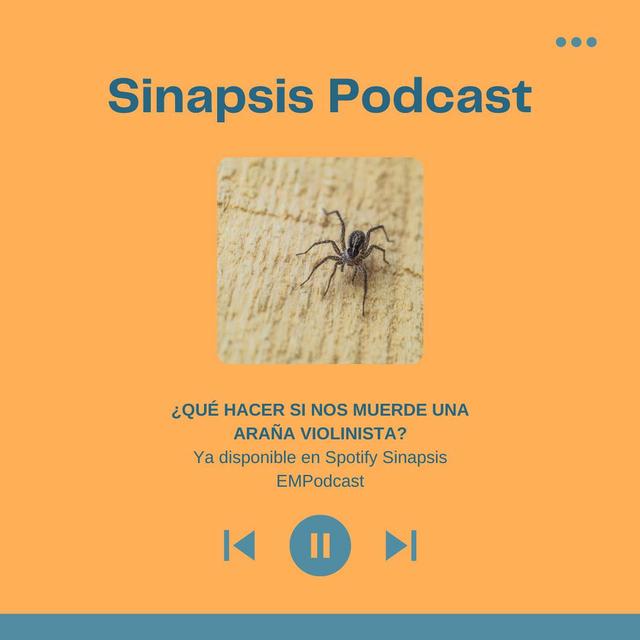 ¿Qué hacer si nos muerde una araña violinista? - podcast episode cover