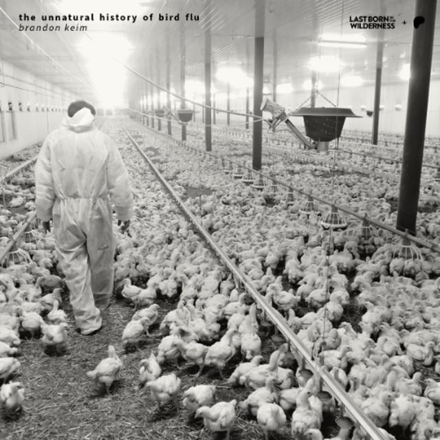 Preview / The Unnatural History Of Bird Flu / Brandon Keim - podcast episode cover