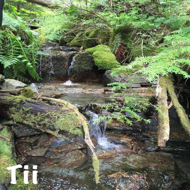Tii 0490 - iOS 13.3 Gold Master - podcast episode cover