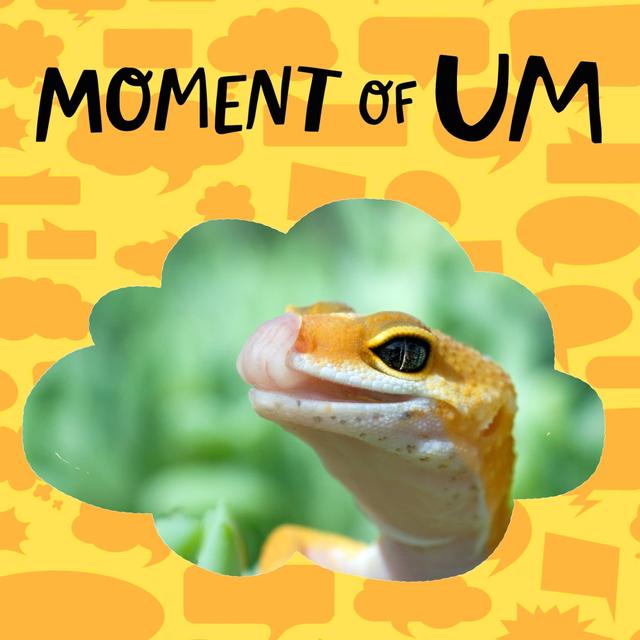 Do lizards smell with their tongues? - podcast episode cover