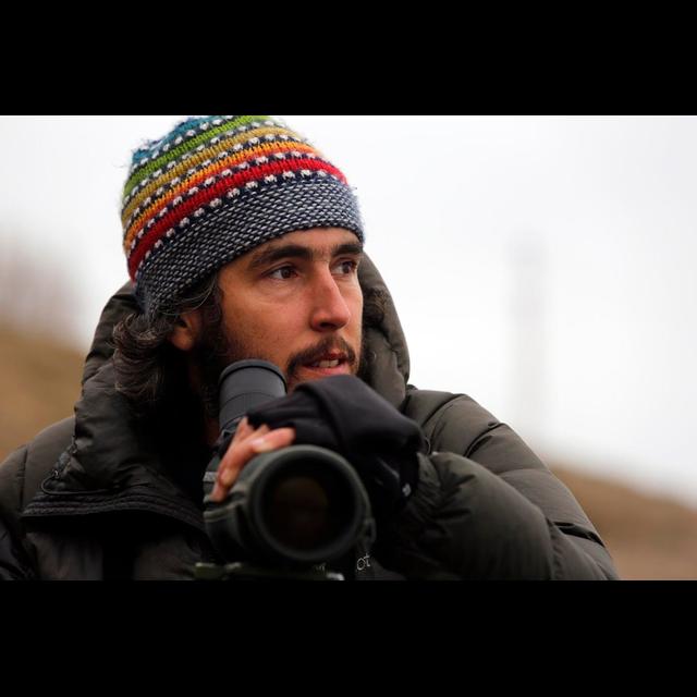 Episode 237: Whitley Award Winner Dr Kini Roesler on saving the Hooded Grebe in Patagonia - podcast episode cover