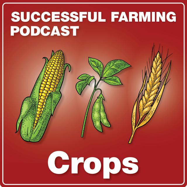 Optimizing Crop Growth: The Role of Micronutrients - podcast episode cover