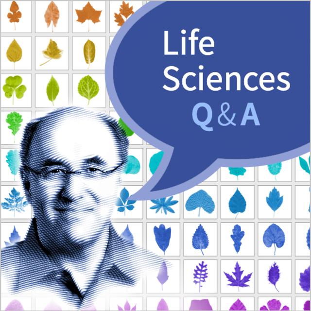 Stephen Wolfram Q&A, Life Sciences: Episode 1 - podcast episode cover