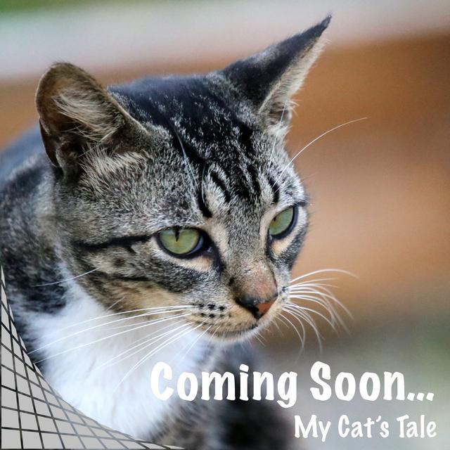 Coming Soon On My Cat’s Tale - podcast episode cover