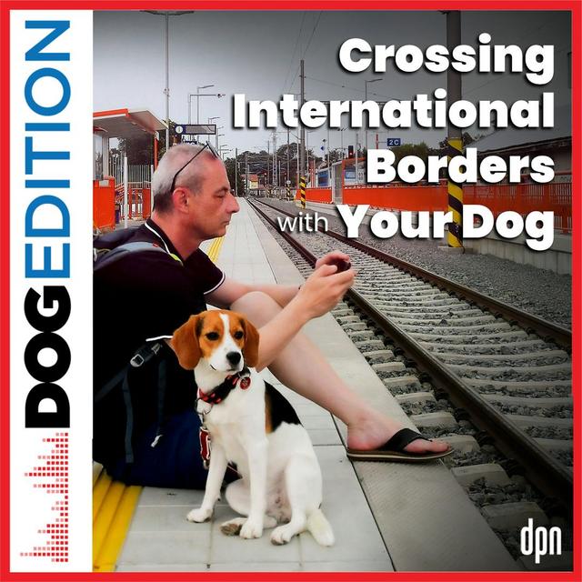 Crossing International Borders with Your Dog | Dog Edition #54 - podcast episode cover