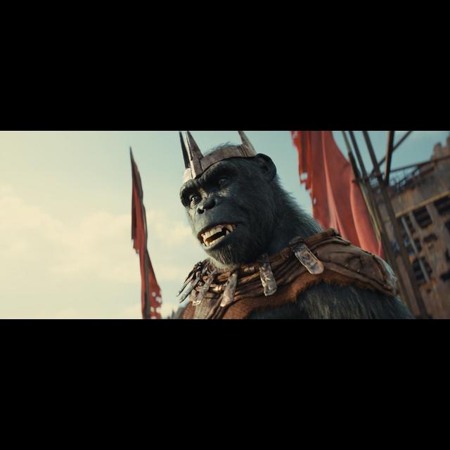 TFR Ep. 708: Kingdom Of The Planet Of The Apes, 5 Favorite 4th Films - podcast episode cover