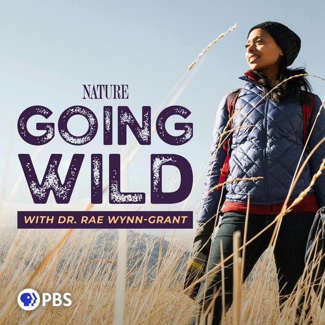 Season 3 is Here! - podcast episode cover