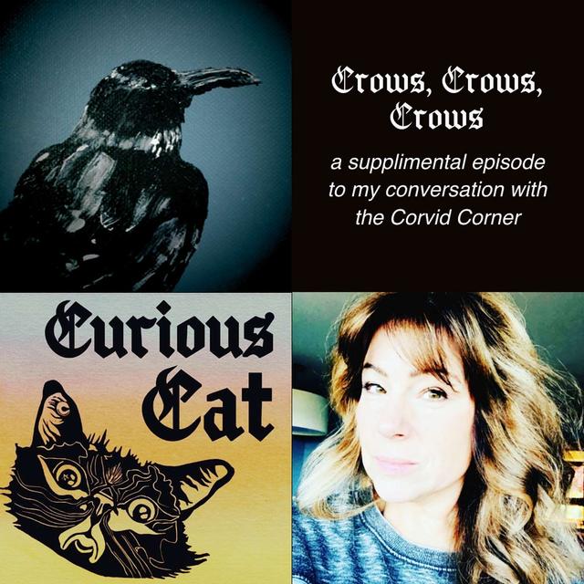 Jenn's Crow Obsession Part Two - Including Their Spiritual Meaning - podcast episode cover
