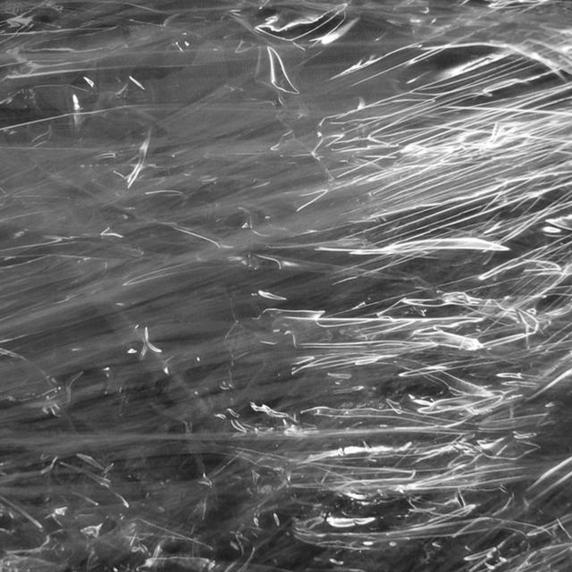 Episode 286: Wrapped in Plastic - podcast episode cover