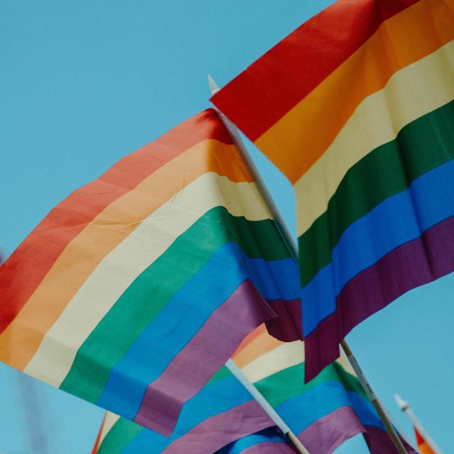 LGBTQ pride in the pandemic - podcast episode cover