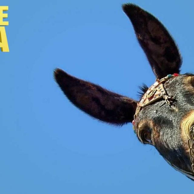 GC 49 | Ideias de Jerico - Grande Coisa - podcast episode cover